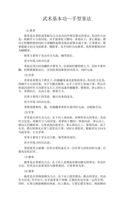 武术基本功—手型掌法