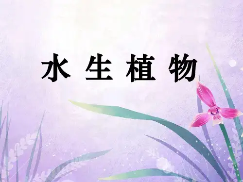 《水生植物》植物PPT  图文