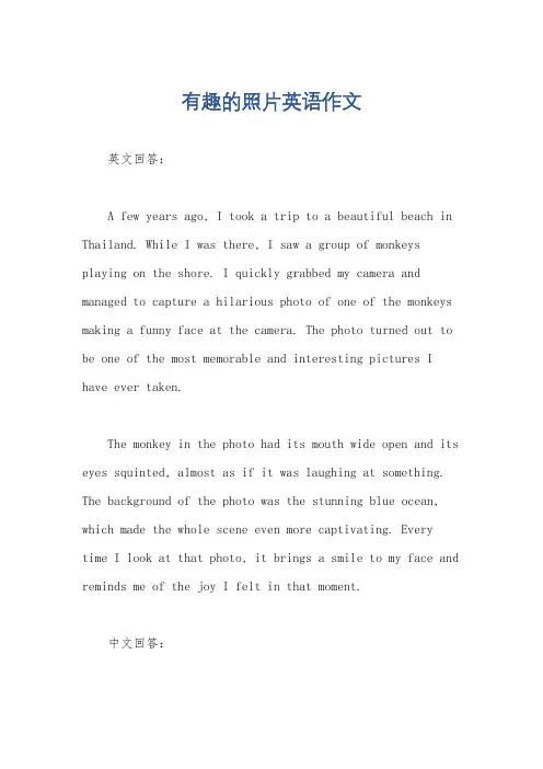 有趣的照片英语作文