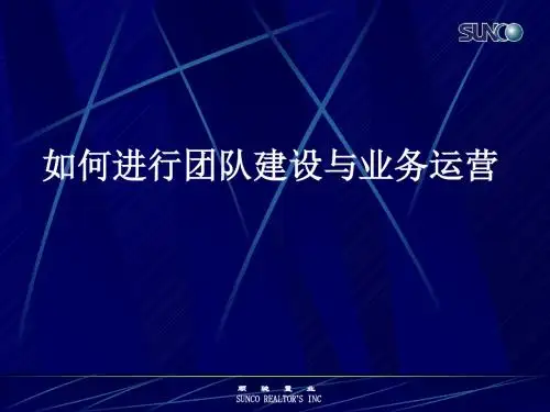 顺驰中国培训教程团队建设和运营-PPT精选文档