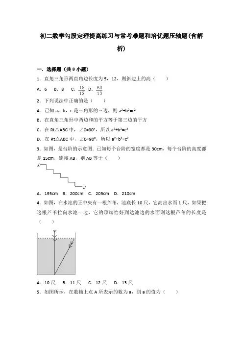 初二数学勾股定理提高练习与常考难题和培优题压轴题(含解析)-