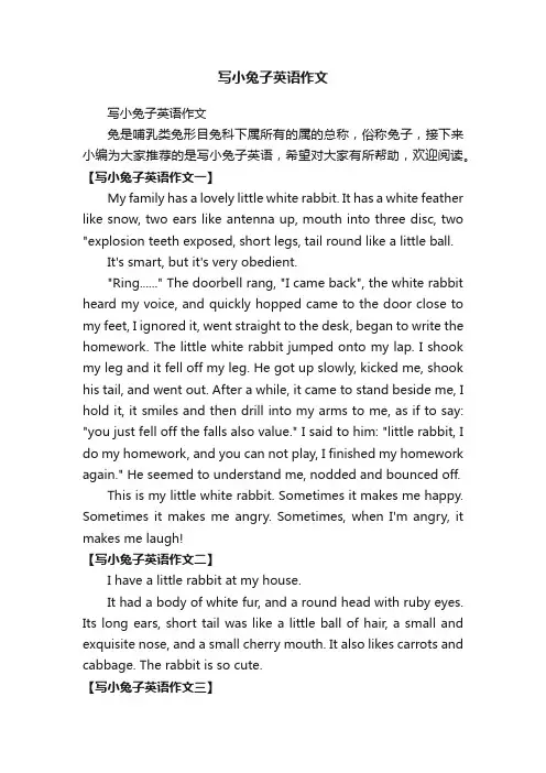 写小兔子英语作文