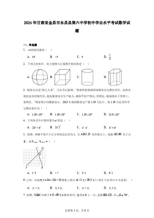 2024年甘肃省金昌市永昌县第六中学初中学业水平考试数学试题