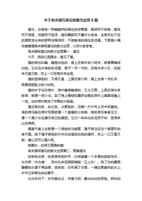 关于有关描写莲花的散文欣赏5篇