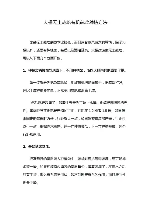 大棚无土栽培有机蔬菜种植方法