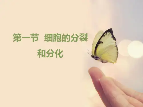 细胞的分裂和分化ppt课件