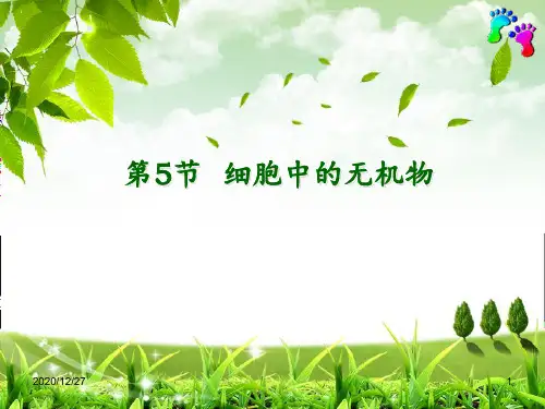 第五节细胞中的无机物 ppt课件