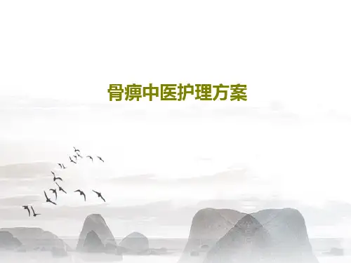 骨痹中医护理方案20页PPT