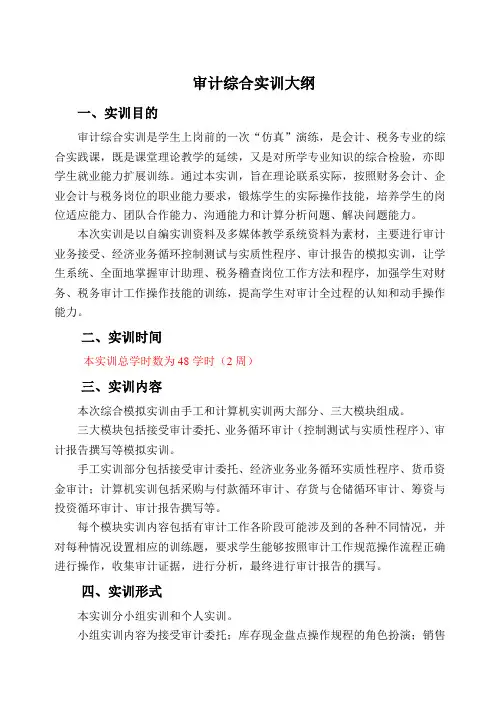 审计综合实训大纲