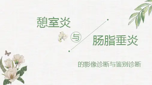 憩室炎与肠脂垂炎的影像诊断与鉴别诊断