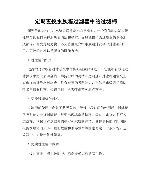 定期更换水族箱过滤器中的过滤棉