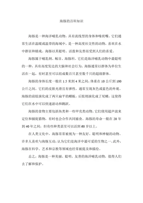 海豚的百科知识