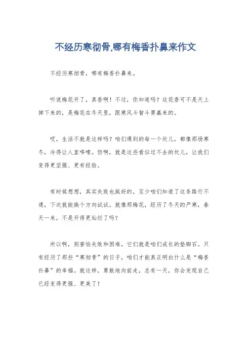 不经历寒彻骨,哪有梅香扑鼻来作文