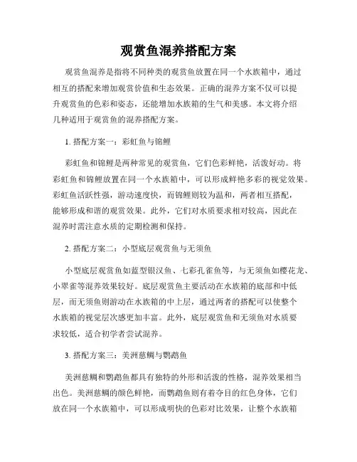 观赏鱼混养搭配方案