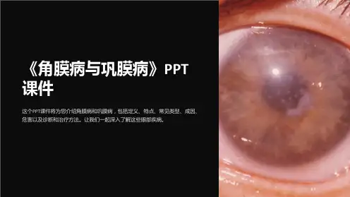 《角膜病与巩膜病》课件