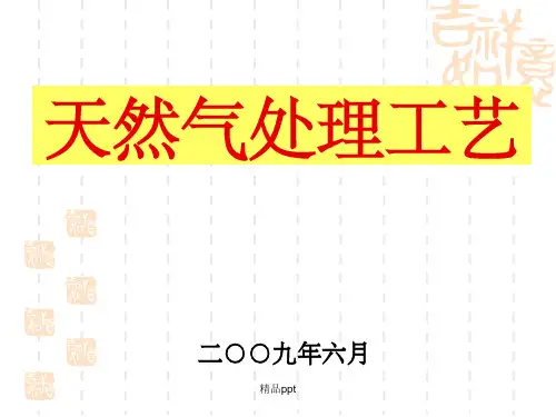 《天然气处理工艺》