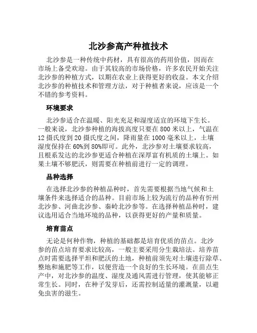 北沙参高产种植技术