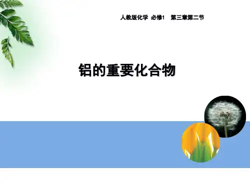 高中化学铝的重要化合物优秀课件