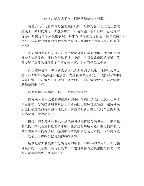 废纸、稻草成了宝,据说是母猪催产利器!