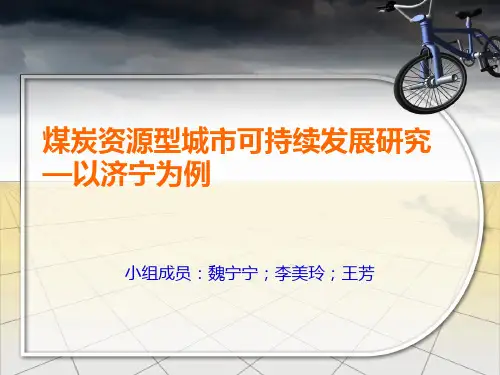 煤炭资源型城市可持续发展研究