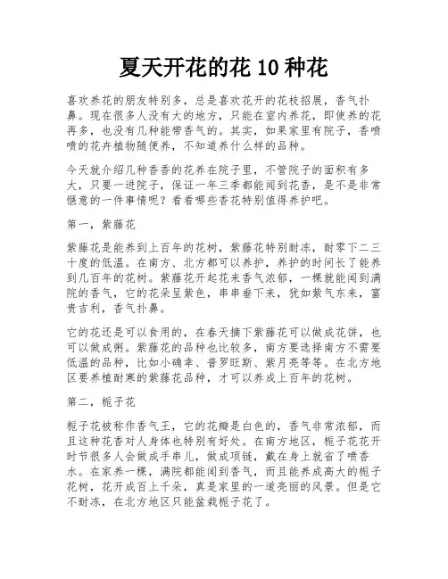 夏天开花的花10种花