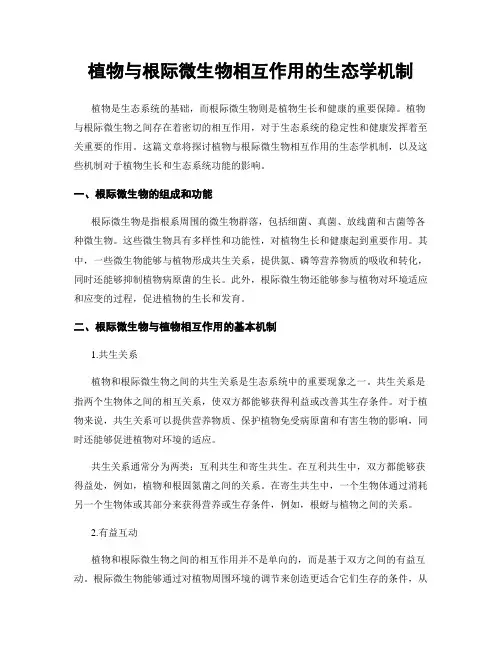 植物与根际微生物相互作用的生态学机制