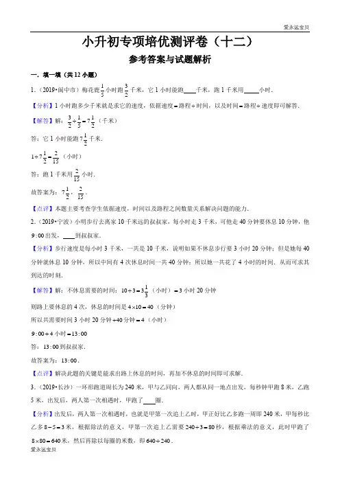 六年级数学小升初专项测评卷(十二)行程问题(解析版)