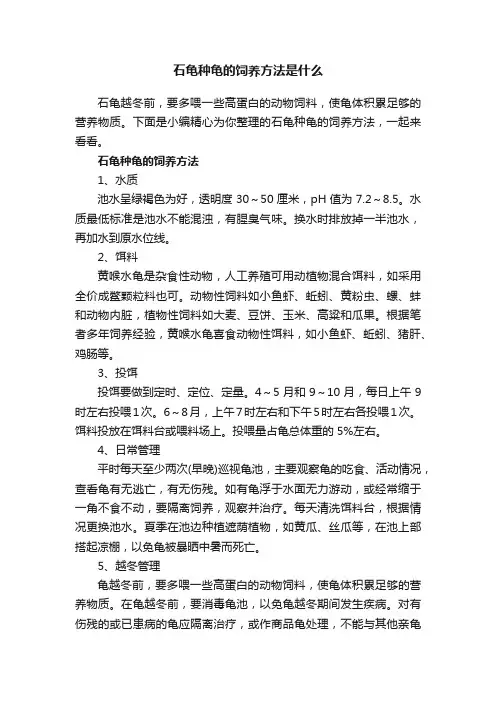 石龟种龟的饲养方法是什么