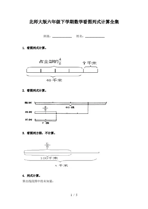 北师大版六年级下学期数学看图列式计算全集
