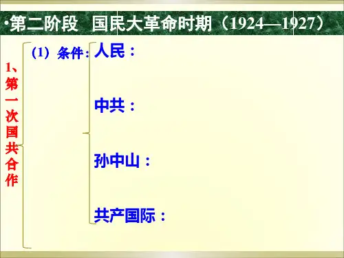 国民大革命1
