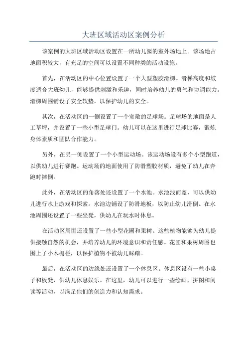 大班区域活动区案例分析