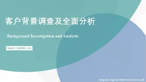 客户分析及背景调查