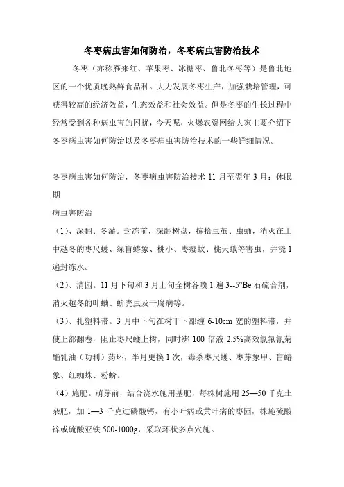 冬枣病虫害如何防治,冬枣病虫害防治技术
