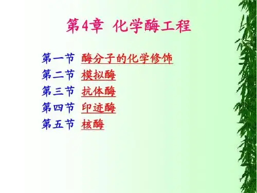 04化学酶工程