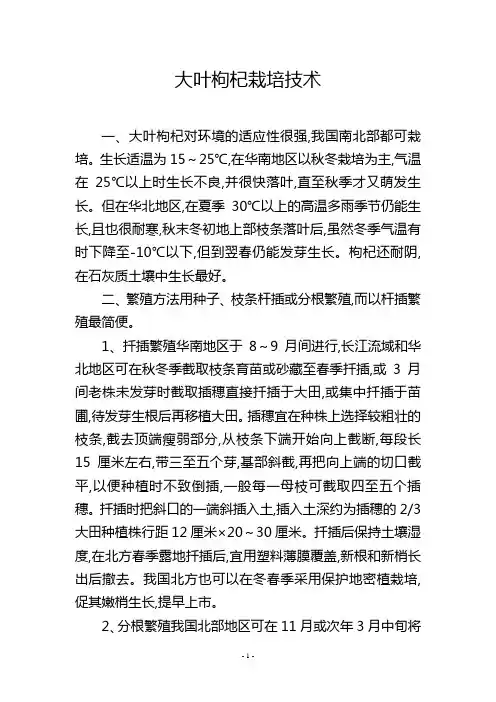 大叶枸杞栽培技术