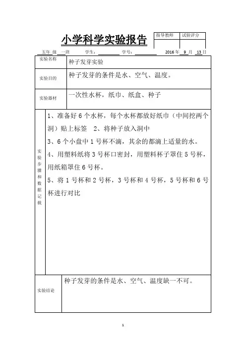 五年级下册科学实验报告单