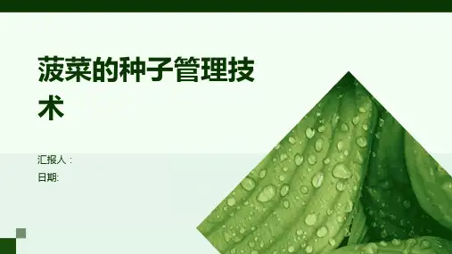 菠菜的种子管理技术