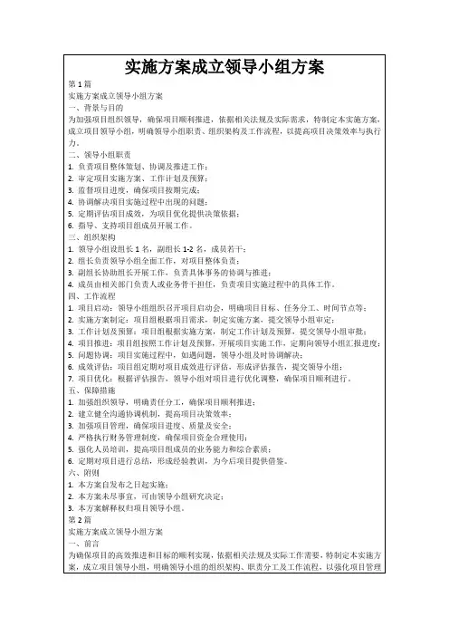 实施方案成立领导小组方案