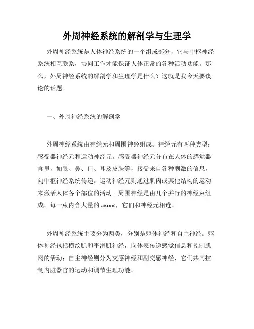 外周神经系统的解剖学与生理学