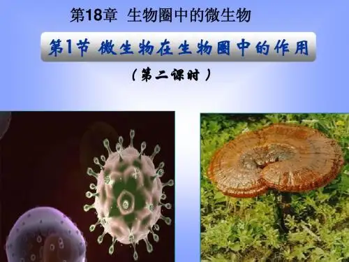 北师大版生物八年级上册18章1节微生物在生物圈中的作用二课时精品课件