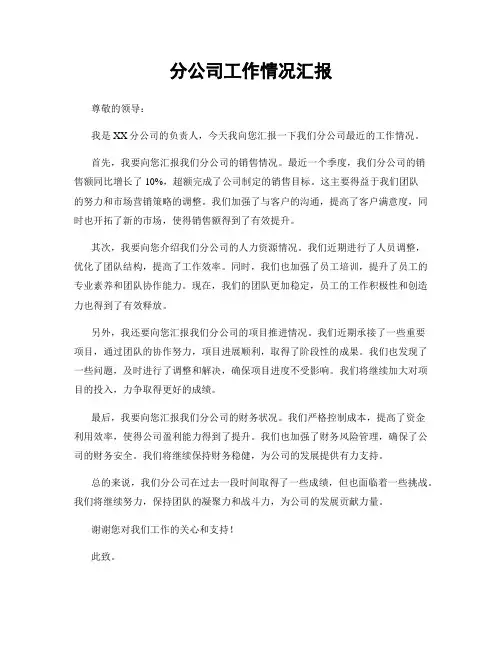 分公司工作情况汇报