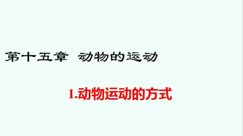 《动物运动的方式》PPT优质课件
