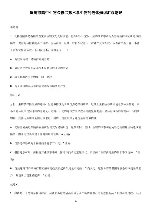 郑州市高中生物必修二第六章生物的进化知识汇总笔记