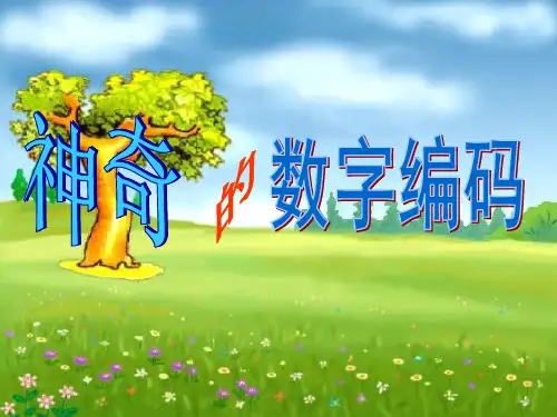 四年级上册数学课件- 神奇的数字编码优质PPT西师大版(共19页)