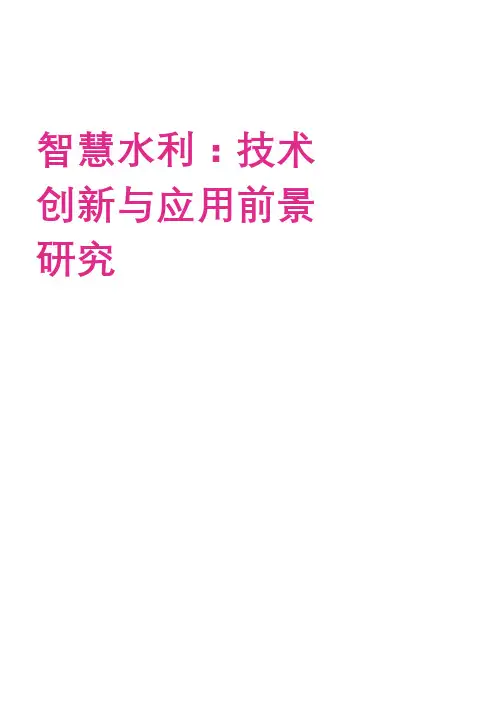 智慧水利：技术创新建设方案