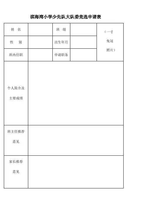 大队委竞选申请表
