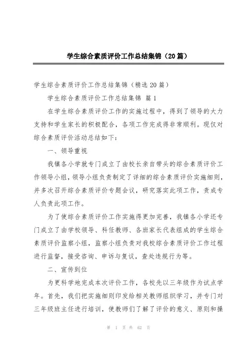 学生综合素质评价工作总结集锦(20篇)