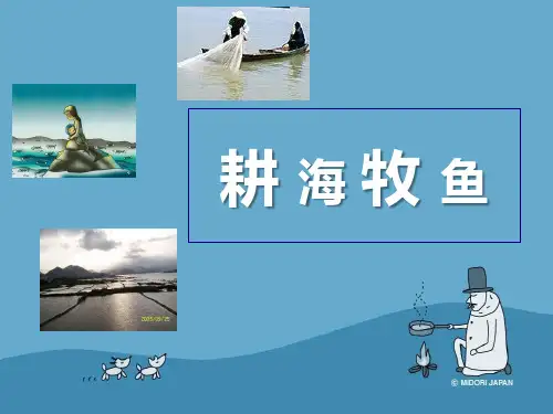 2021年《耕海牧鱼》各具特色的区域生活PPT文档