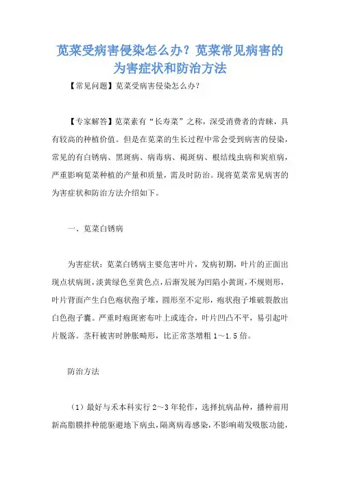 苋菜受病害侵染怎么办？苋菜常见病害的为害症状和防治方法