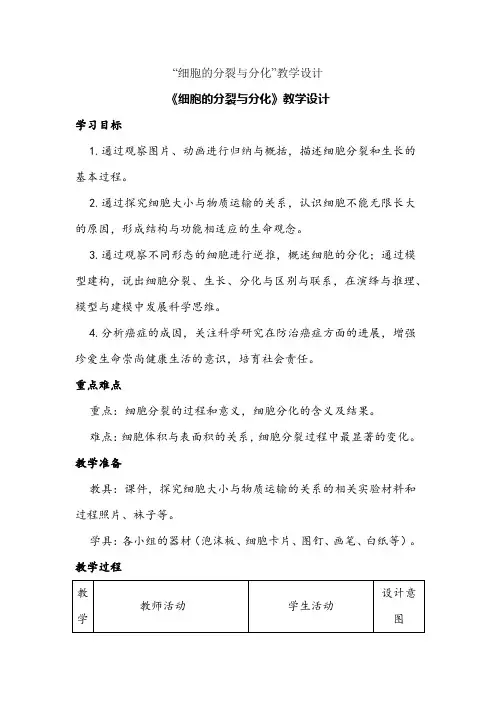 济南版初中生物七年级上册《细胞的分裂与分化》教学设计